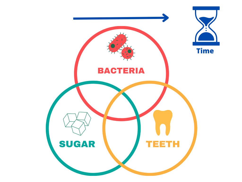 The keyes diagram showing the interaction of four factors in tooth decay: bacteria, sugar, teeth and time. 